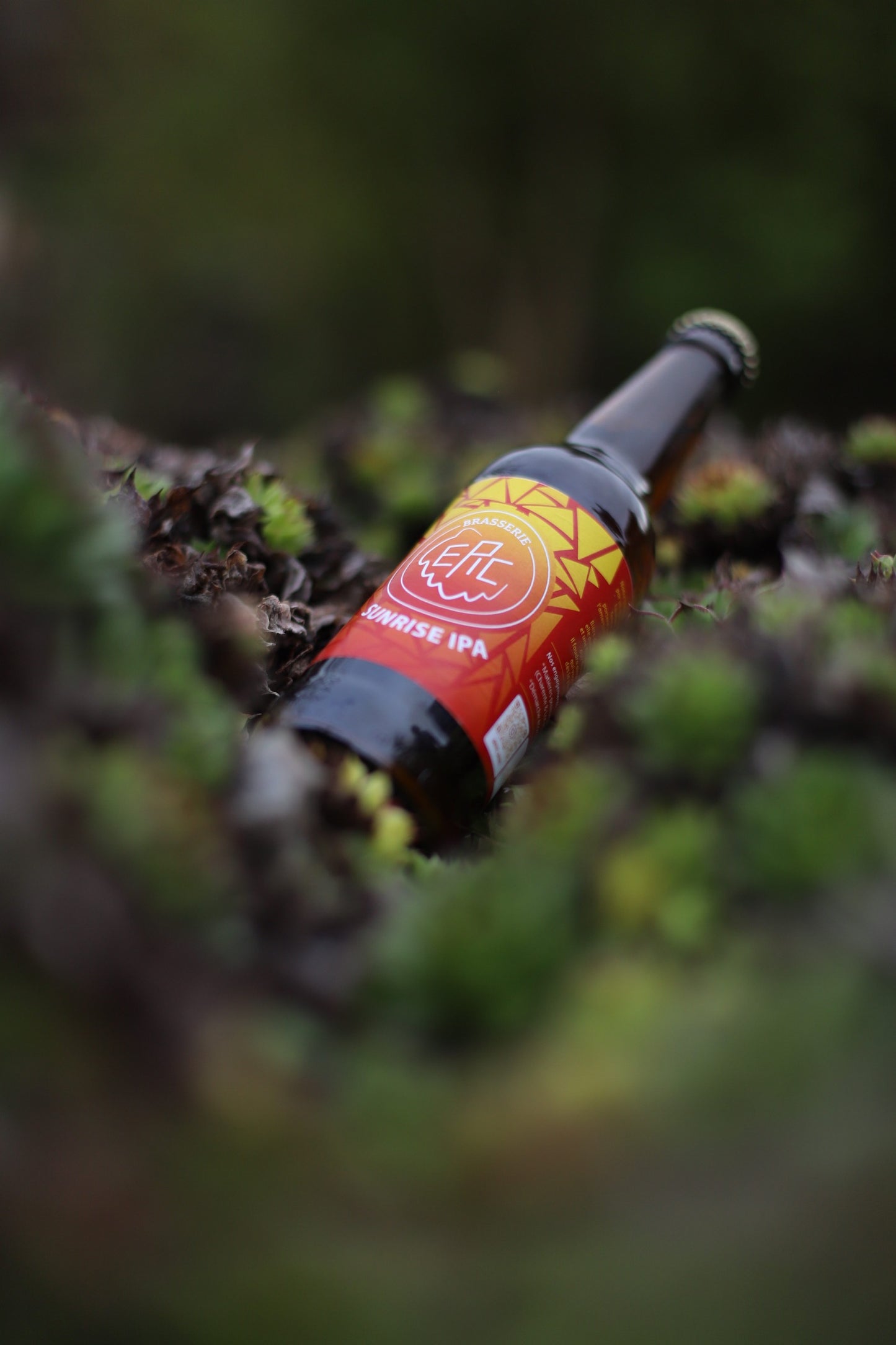 SUNRISE IPA